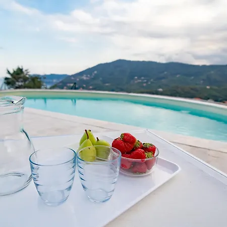 Apartment Serenity With Swimming Pool And Parking In *